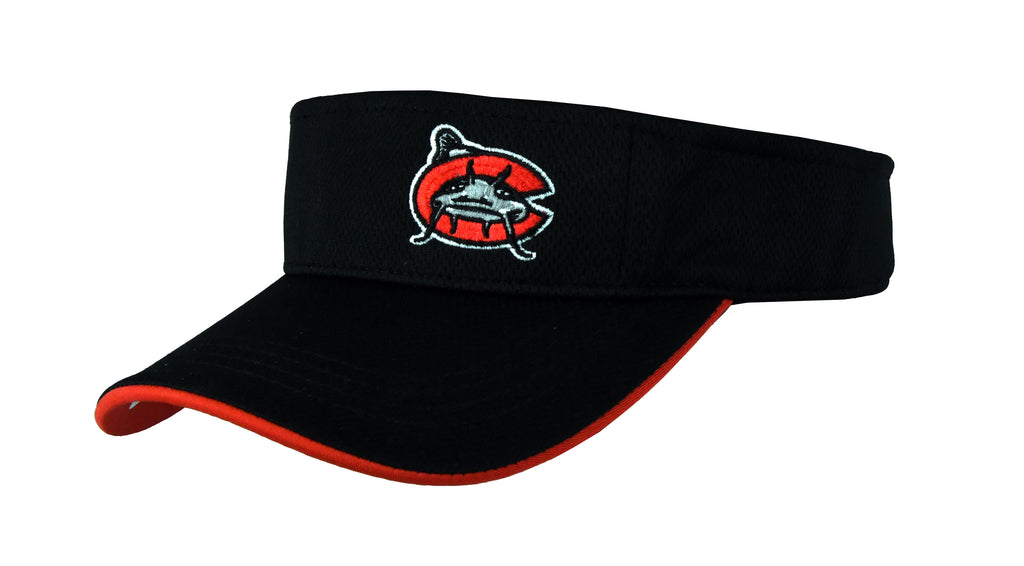 マイナーリーグ Carolina Mudcatsスタジャン